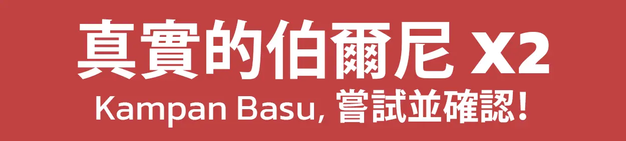 真實的伯爾尼 X2
