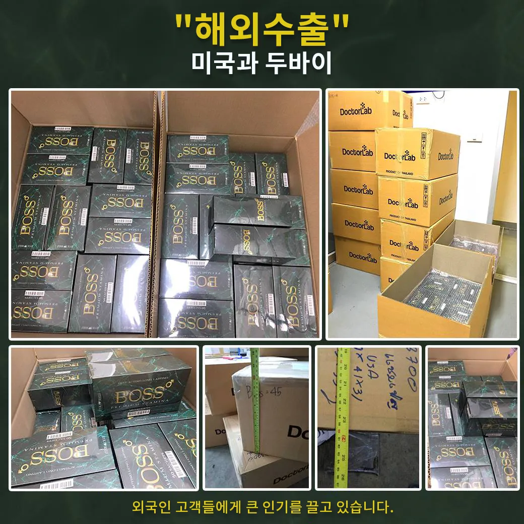 해외수출