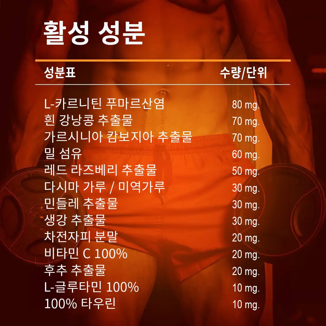 활성 성분